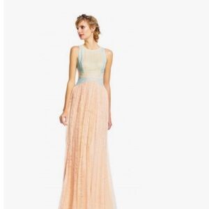 Adrianna Papell Lace Colorblock Gown